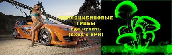 амф Алексин