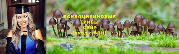 амф Алексин