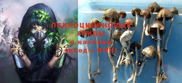 амф Алексин