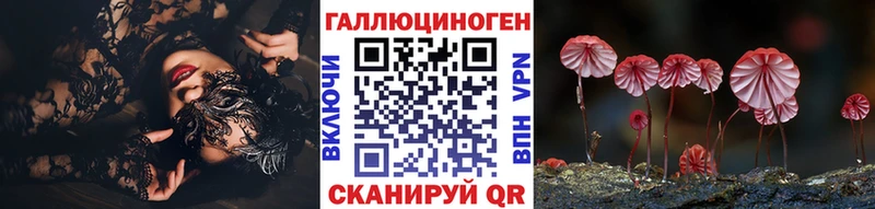 Псилоцибиновые грибы Cubensis  Могоча 