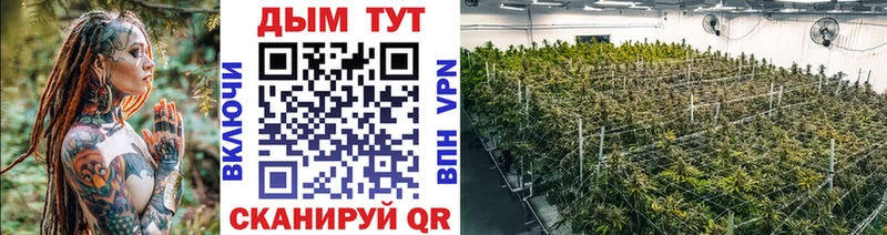 blacksprut сайт Могоча Конопля сатива купить наркоту